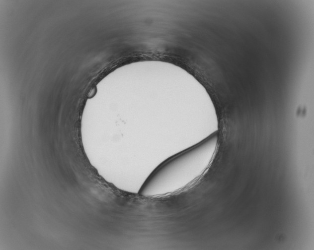 X0000110891057200907161520