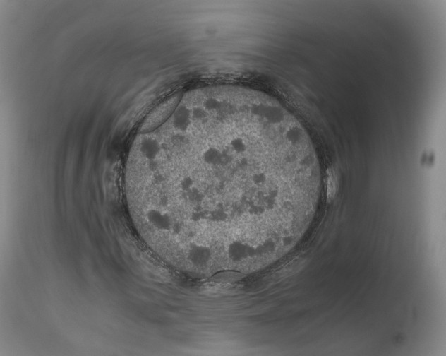 X0000110891059200907161520