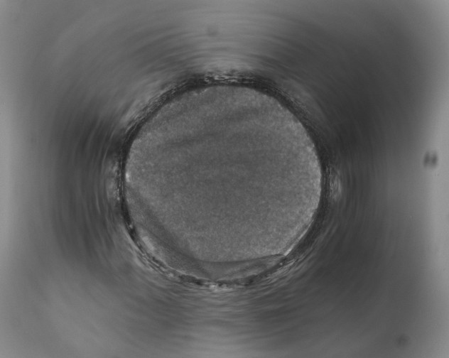 X0000110891060200907161520