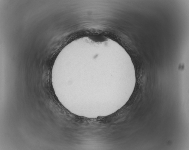 X0000110891061200907161520