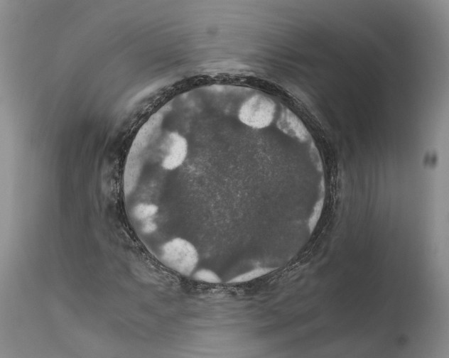 X0000110891063200907161520