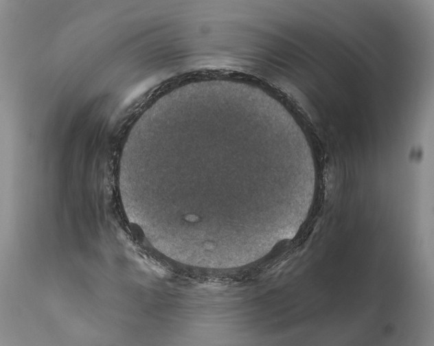 X0000110891064200907161520