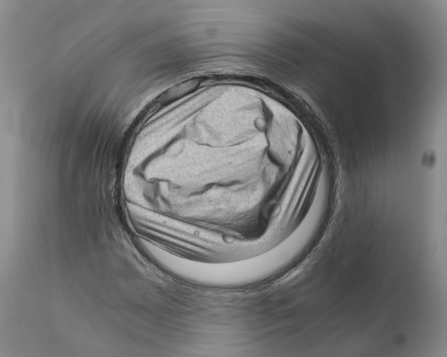 X0000110891065200907161520