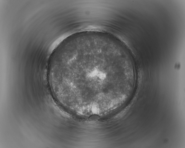 X0000110891066200907161520