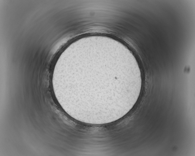 X0000110891067200907161520