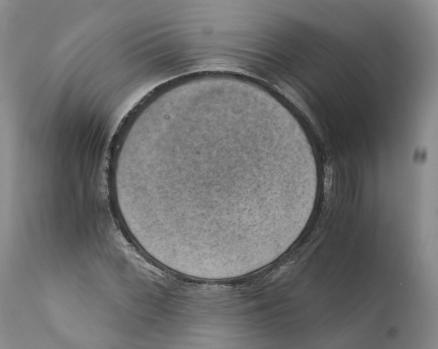 X0000110891068200907161520