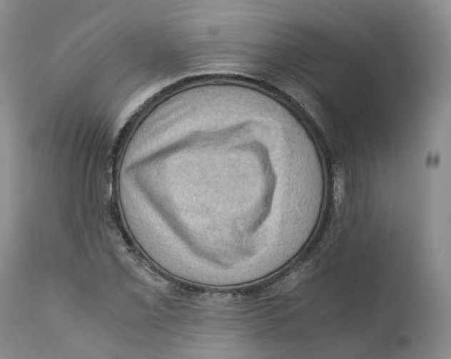 X0000110891069200907161520