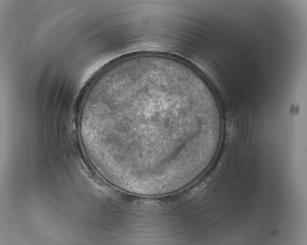 X0000110891070200907161520