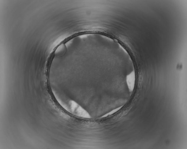 X0000110891071200907161520