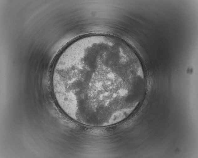 X0000110891074200907161520