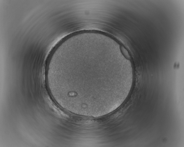 X0000110891076200907161520