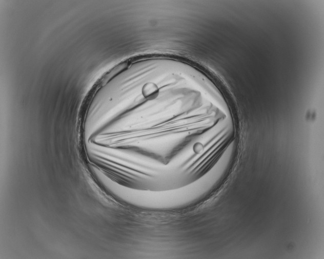 X0000110891077200907161520