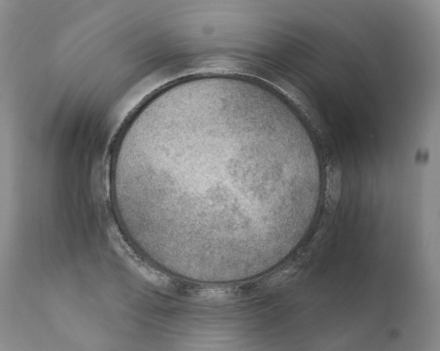 X0000110891078200907161520