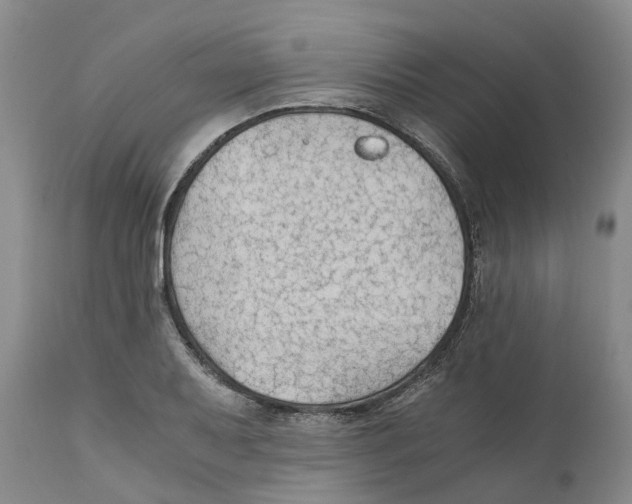 X0000110891079200907161520