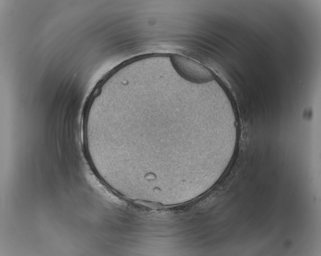 X0000110891080200907161520