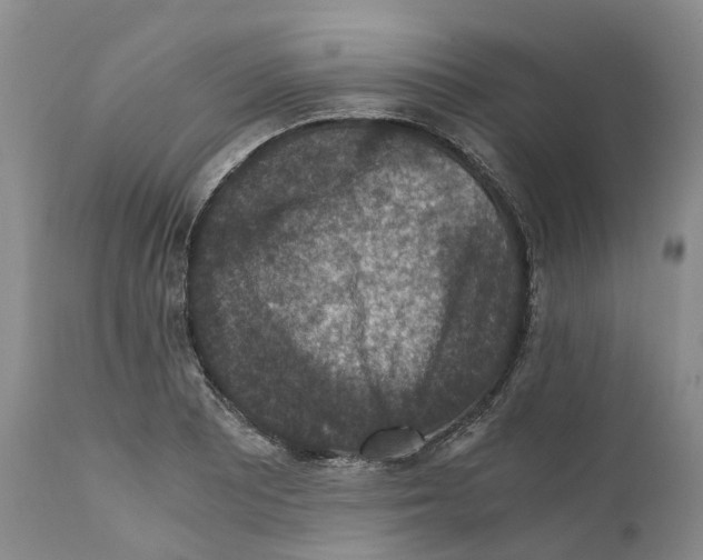 X0000110891081200907161520