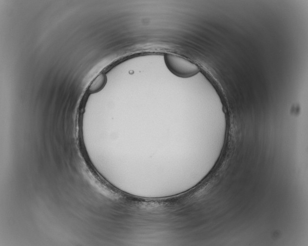 X0000110891082200907161520