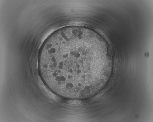 X0000110891083200907161520