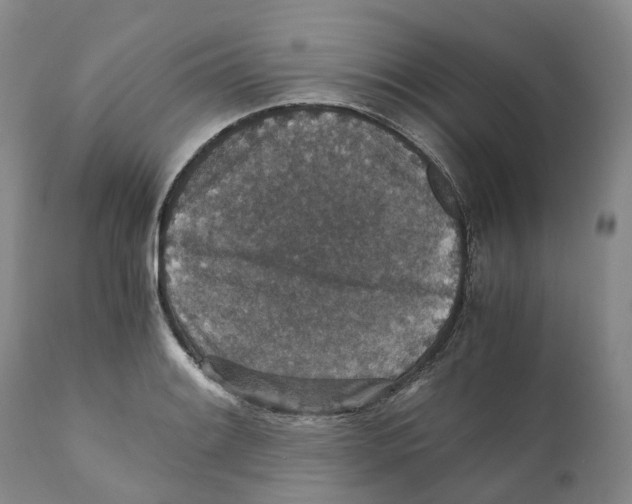 X0000110891084200907161520