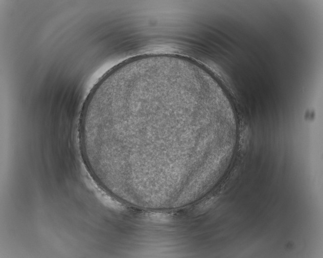 X0000110891086200907161520