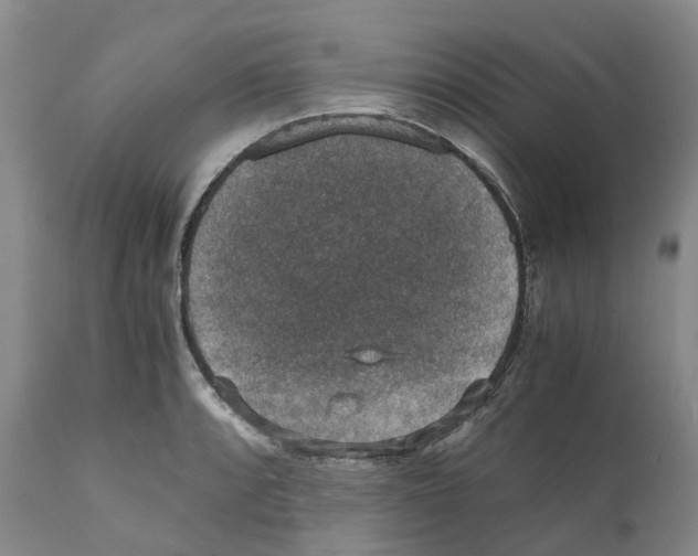 X0000110891088200907161520