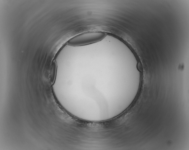 X0000110891089200907161520