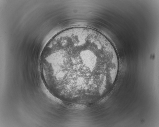 X0000110891090200907161520