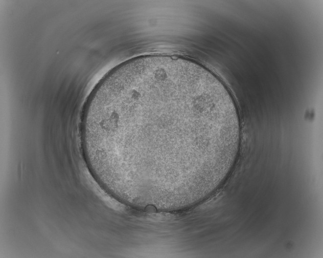 X0000110891091200907161520