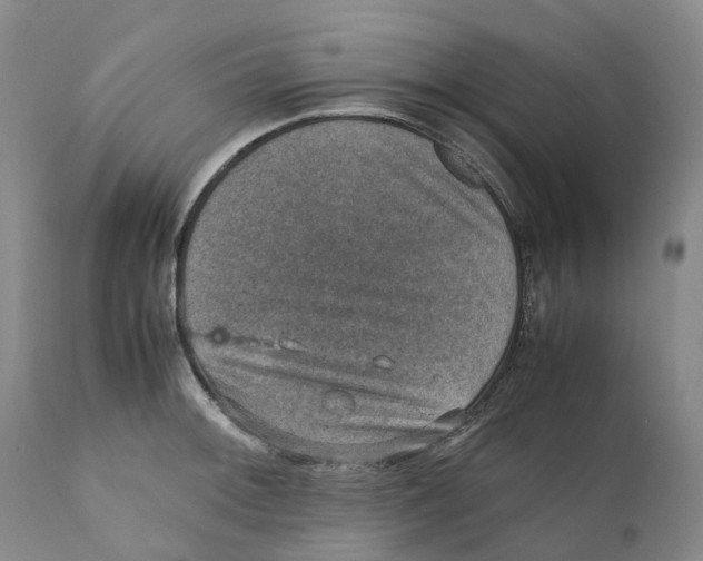 X0000110891092200907161520