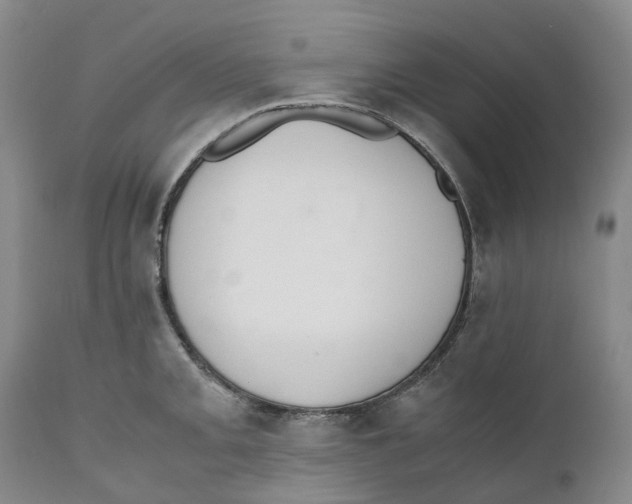 X0000110891093200907161520