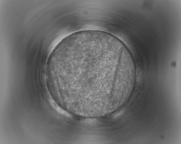 X0000110891094200907161520