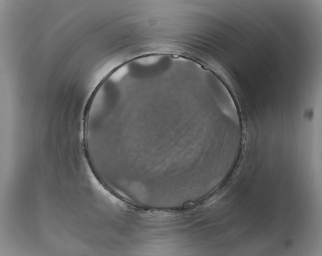 X0000110891095200907161520