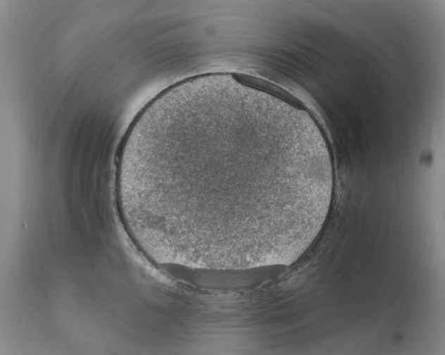 X0000110891096200907161520