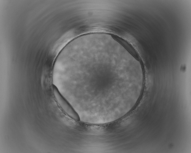 X0000110891097200907161520