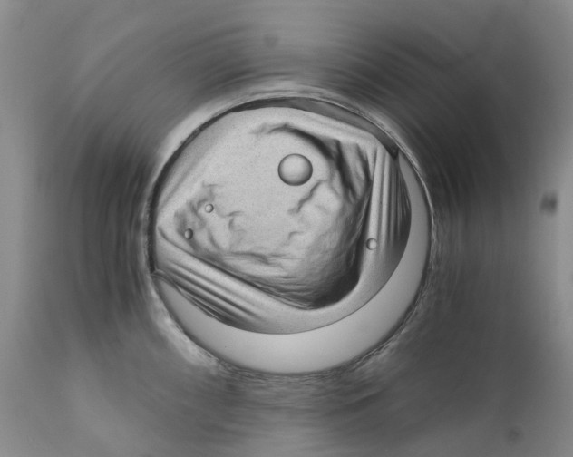 X0000110891098200907161520