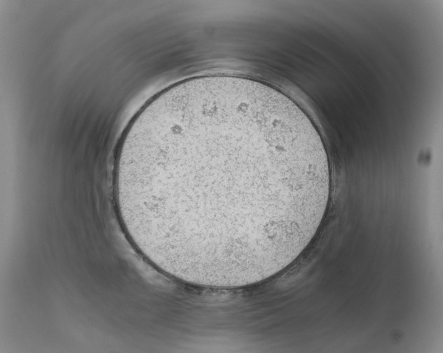 X0000110891099200907161520