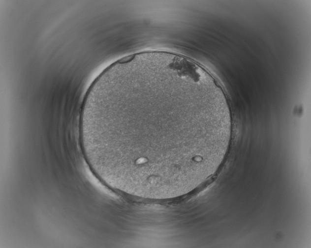 X0000110891100200907161520