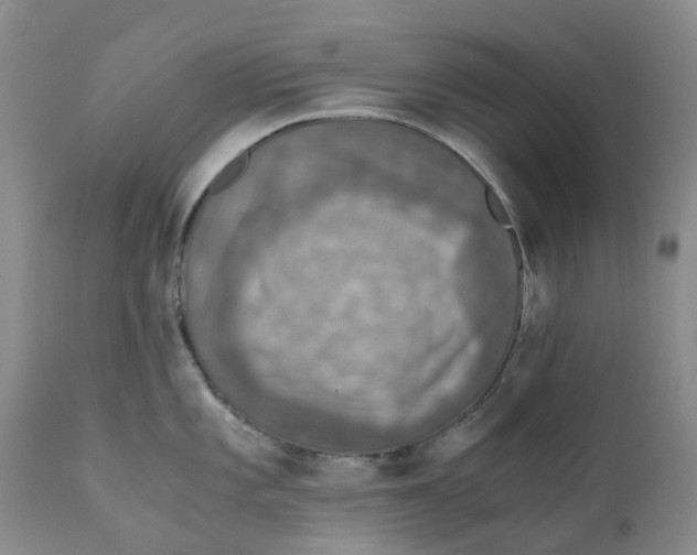 X0000110891101200907161520