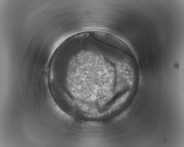 X0000110891102200907161520