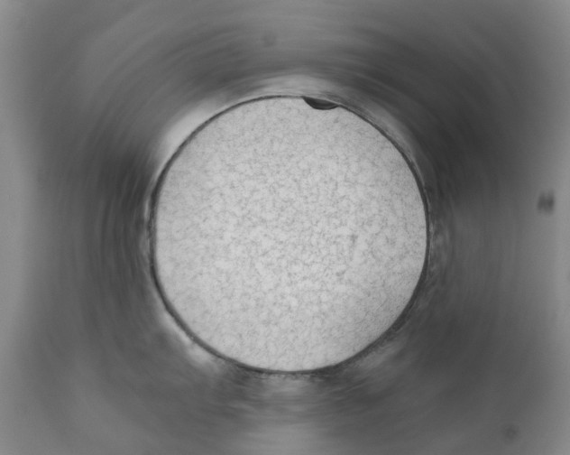 X0000110891103200907161520