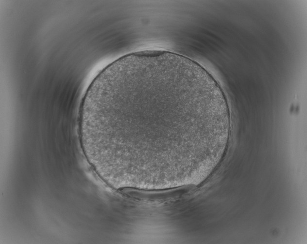 X0000110891104200907161520