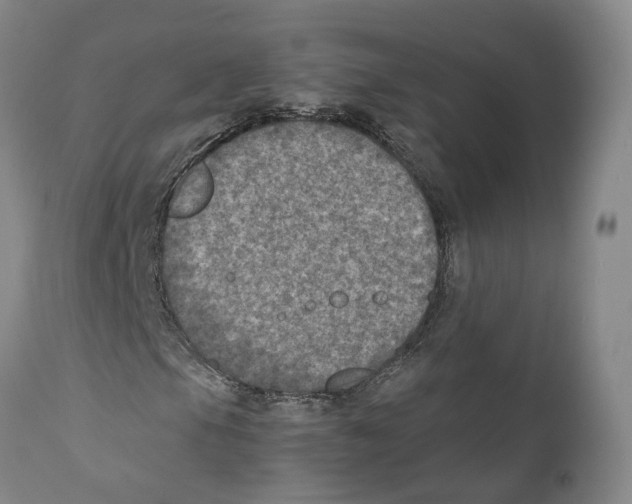 X0000110891105200907161519