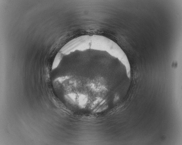 X0000110891106200907161519