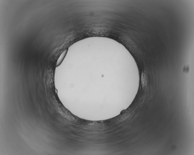 X0000110891107200907161519