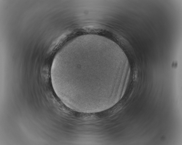 X0000110891108200907161519