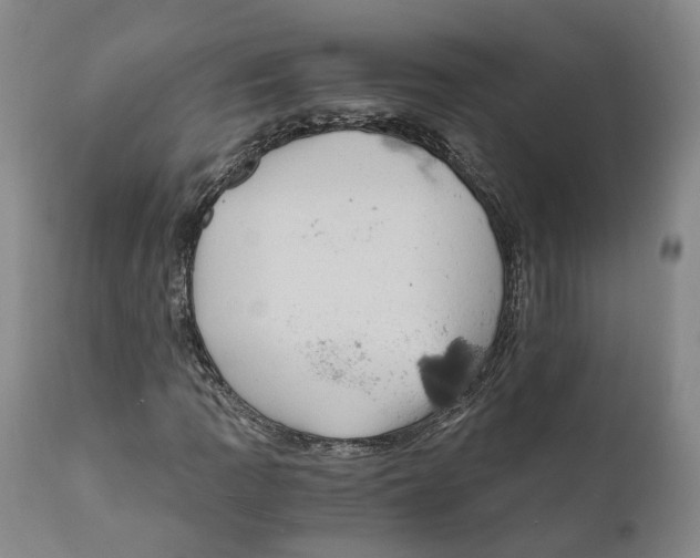 X0000110891109200907161519