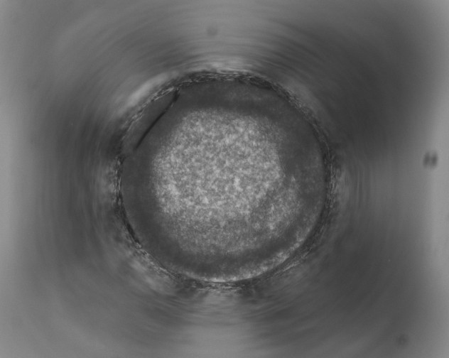 X0000110891110200907161519