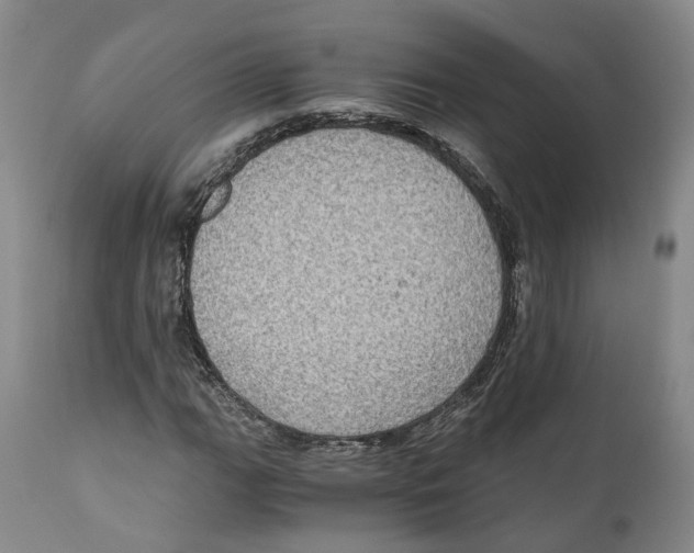 X0000110891111200907161519