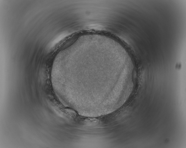 X0000110891112200907161519