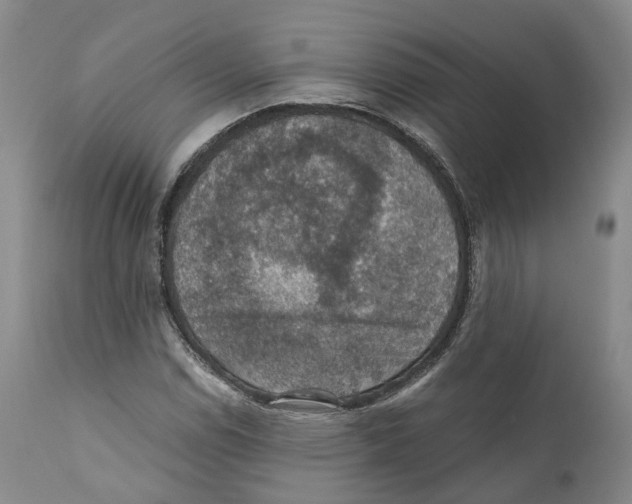 X0000110891114200907161519